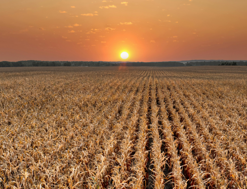 What Harvest Season Can Teach Us About Retirement Planning